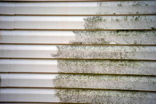 Best Insulated Siding Installation  in Clay, AL