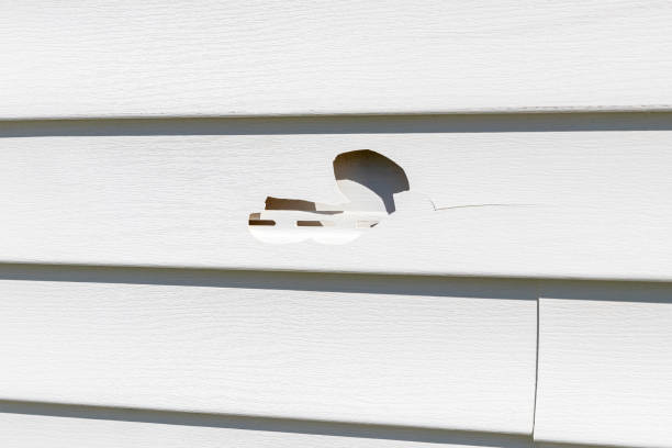 Best Weatherproofing and Sealing  in Clay, AL